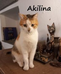 Akilina_Name 03.24 001