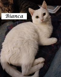 Bianca5
