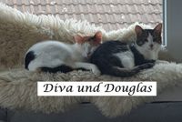 Diva und Douglas