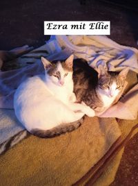 Ezra mit Ellie