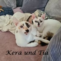 Tia und Kera
