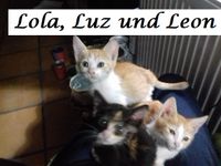 Lola Luz und Leon_1
