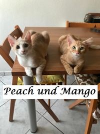Mango und Peach