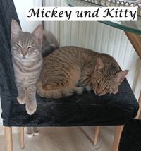 Mickey und Kitry