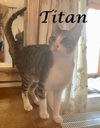 Titan_1