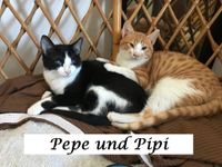 Pepe und Pipi