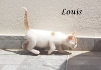 Louis1