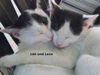 Lena und Leo_1